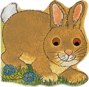 Image for Pocket Bunny