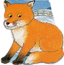 Image for Pocket Fox