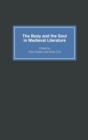 Image for The Body and the Soul in Medieval Literature