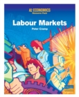 Image for A2 Economics : Labour Markets Teacher Resource Pack