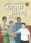 Image for The Colour Blind Boy