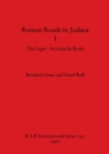 Image for Roman Roads in Judaea