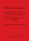 Image for Prehistoire de Patagonie : L&#39;industrie &#39;Nivel 11&#39; de la province de Santa Cruz (Argentine) : Technologie lithique et traces d&#39;utilisation