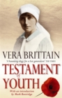 Image for Testament Of Youth