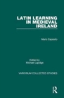 Image for Latin Learning in Medieval Ireland