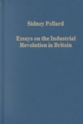 Image for Essays on the Industrial Revolution in Britain
