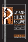 Image for Peasant-Citizen and Slave : The Foundations of Athenian Democracy