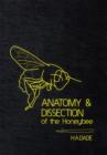 Image for Anatomy and Dissection of the Honeybee