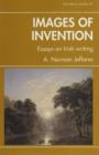 Image for Images of Invention : Essays on Irish Writing