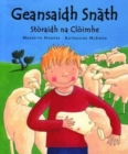 Image for Geansaifh snáath  : stáoraigh na cláoimhe