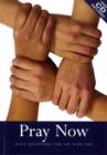 Image for Pray now 2008  : daily devotions for the year 2008