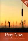 Image for Pray now 2009  : daily devotions for the year 2009