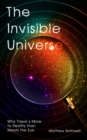 Image for The invisible universe  : why there&#39;s more to reality than meets the eye