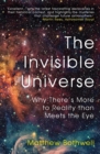 Image for The invisible universe  : why there&#39;s more to reality than meets the eye