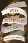 Image for Why Beethoven  : a phenomenon in 100 pieces