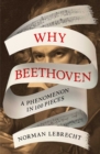 Image for Why Beethoven: A Phenomenon in 100 Pieces