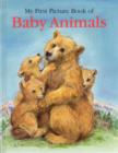Image for My First Picture Book of Baby Animals