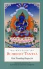 Image for Principles of Buddhist Tantra