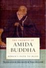 Image for The Promise of Amida Buddha