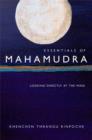 Image for Essentials of Mahamudra: looking directly at the mind