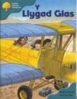 Image for Y Llygad Glas