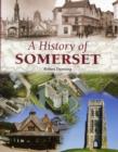 Image for History of Somerset