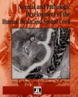 Image for Normal &amp; Pathologic Development of the Human Brain &amp; Spinal Cord