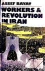 Image for Workers and Revolution in Iran