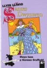 Image for Cyfres Arwyr Cymru: 3. Llyfr Lliwio Santes Dwynwen