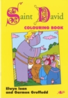 Image for Welsh Heroes Colouring Book - Saint David