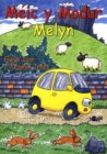 Image for Meic y Modur Melyn