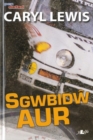 Image for Cyfres Pen Dafad: Sgwbidw Aur