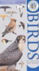 Image for Kingfisher Field Guide to the Birds of Britain and Europe