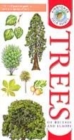 Image for Trees of Britain &amp; Europe