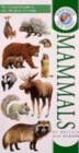 Image for Mammals of Britain &amp; Europe