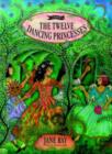 Image for The twelve dancing princesses
