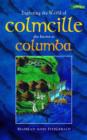 Image for Exploring the world of Colmcille  : also known as Columba