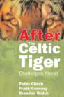 Image for After the Celtic tiger  : challenges ahead