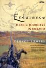 Image for Endurance  : heroic journeys in Ireland