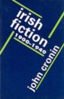 Image for Anglo-Irish Novel