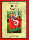 Image for A little book of Irish myths