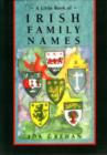 Image for A Little Book of Irish Family Names