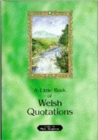 Image for A little book of Welsh quotations