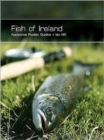 Image for Fish of Ireland