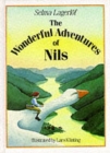 Image for The Wonderful Adventures of Nils