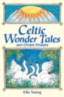 Image for Celtic wonder tales and other stories