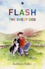 Image for Flash the sheepdog