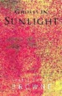 Image for Ghosts in Sunlight