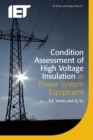 Image for Condition assessment of high voltage insulation in power system equipment