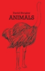 Image for David Shrigley : Animals